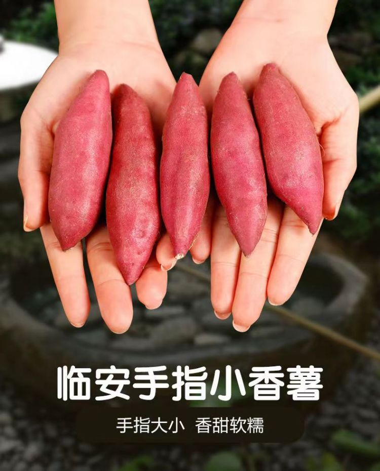 详情图片