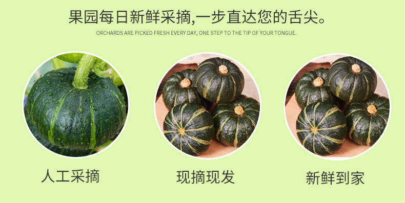 详情图片