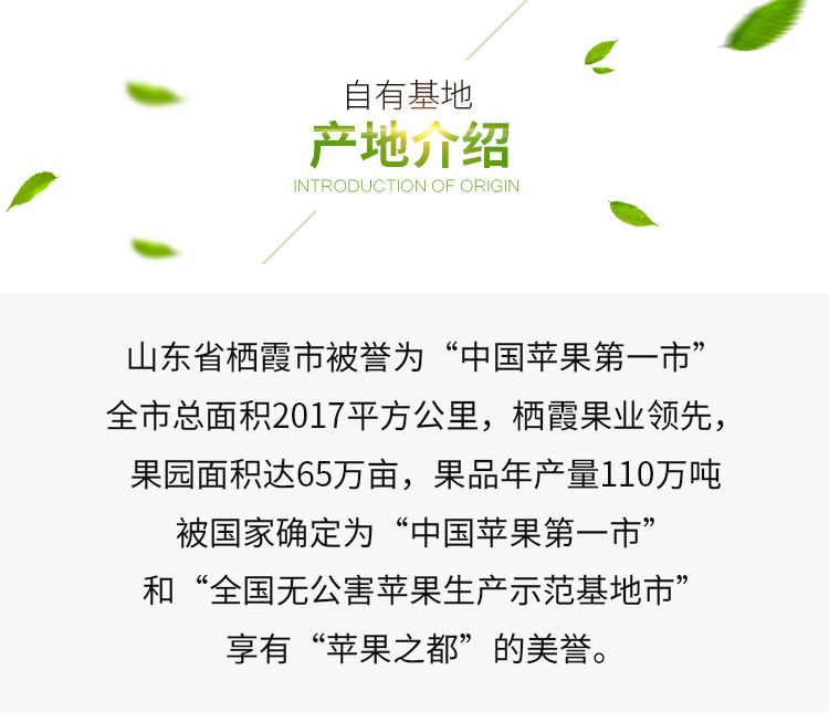 详情图片