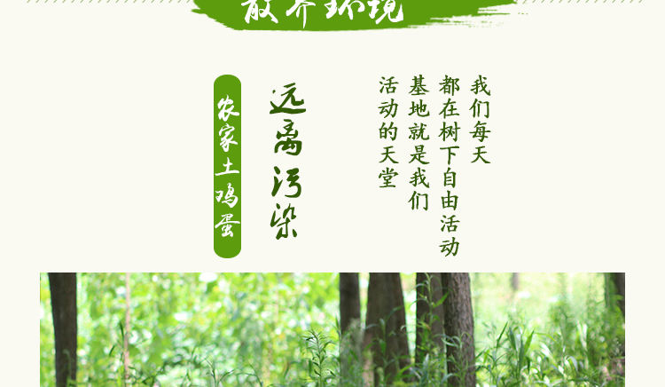 详情图片
