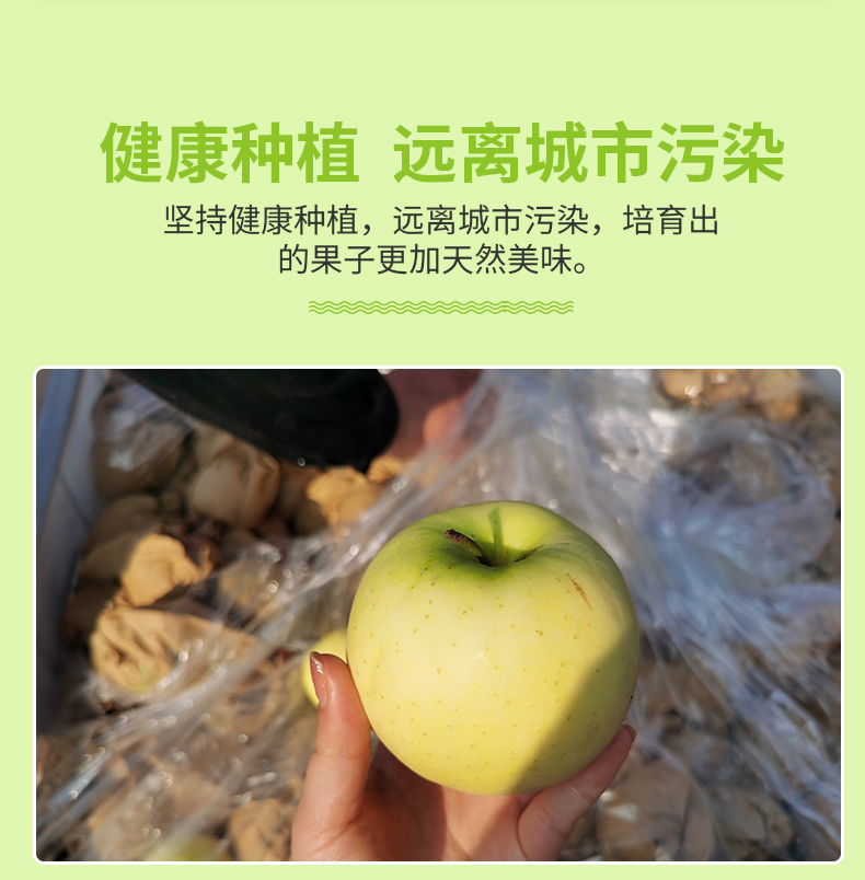 详情图片