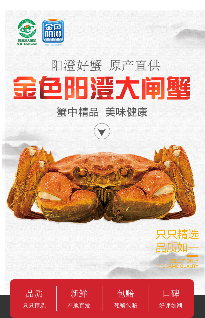 详情图片