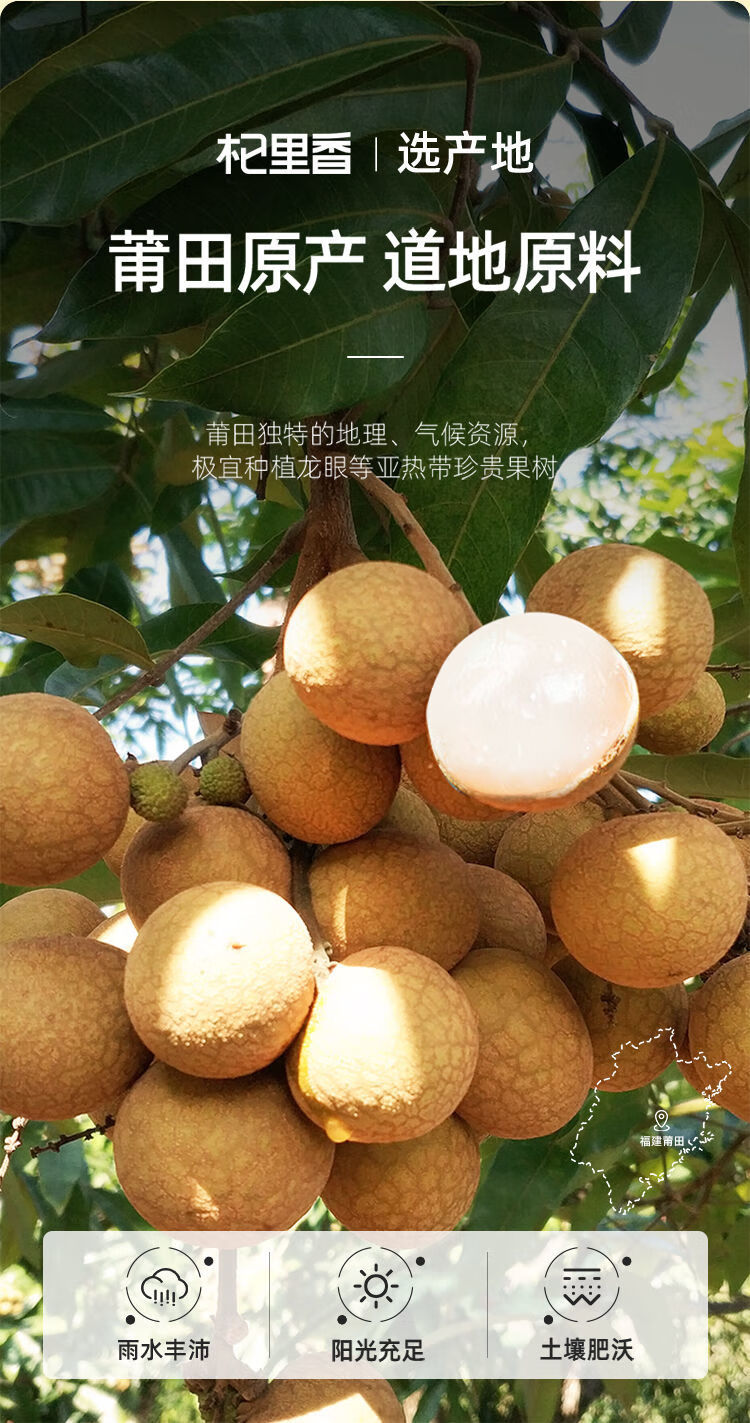 详情图片