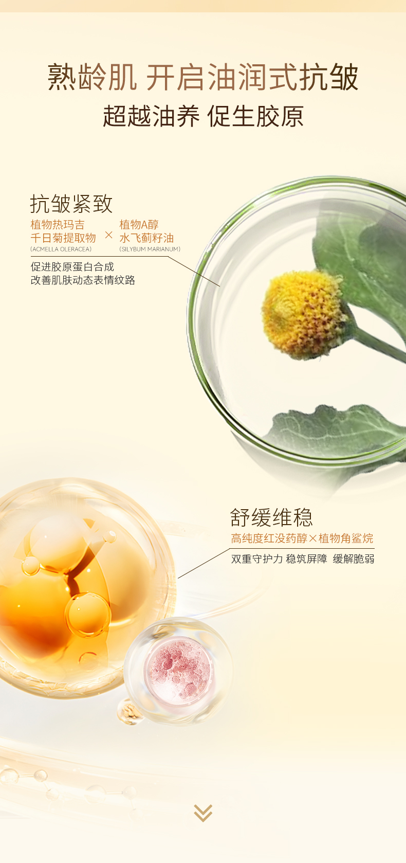 详情图片