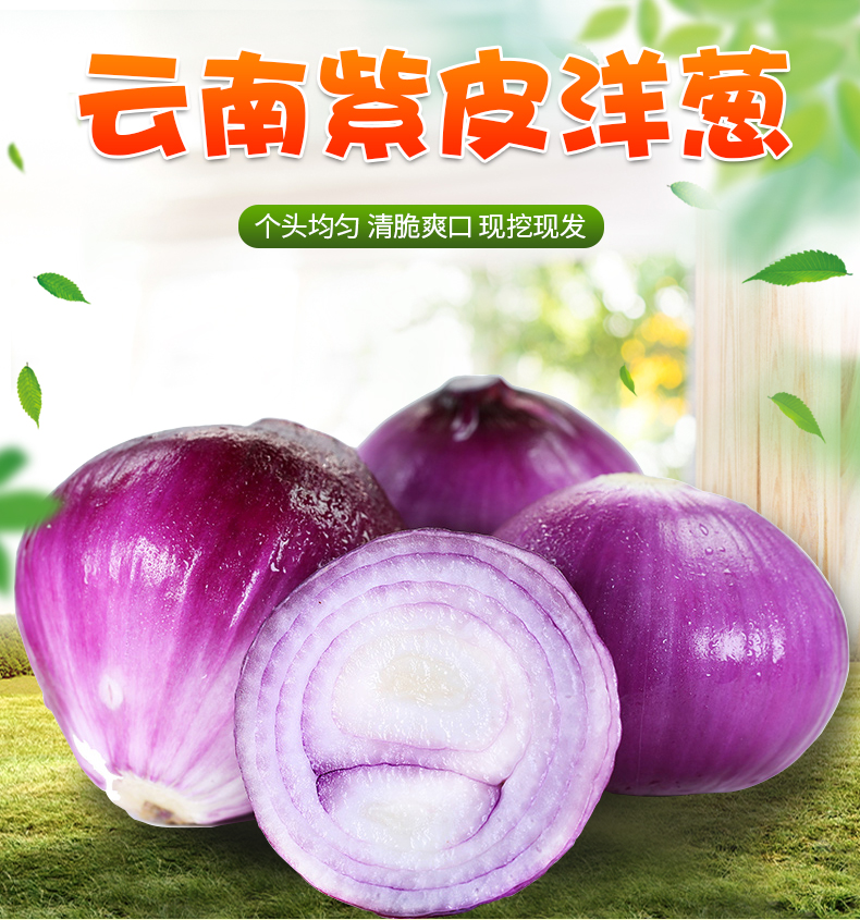 详情图片