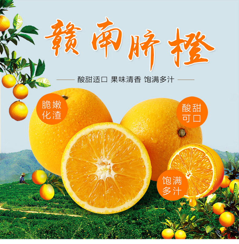 详情图片