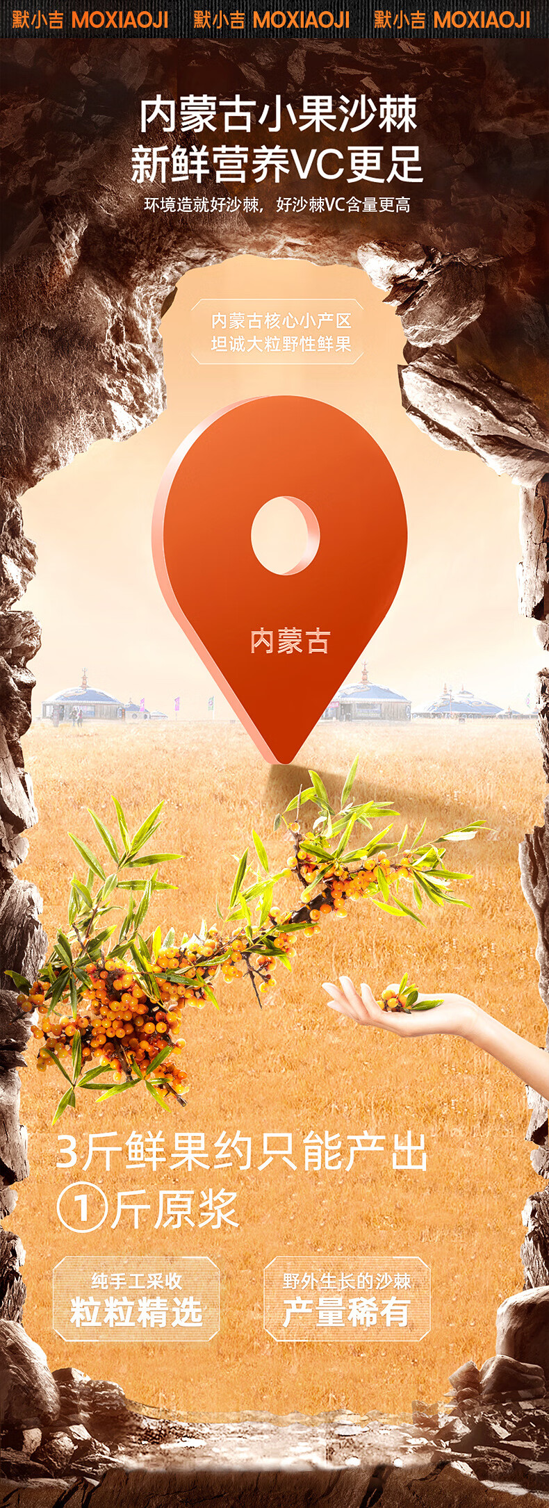 详情图片