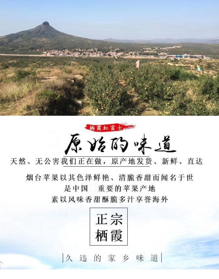 详情图片