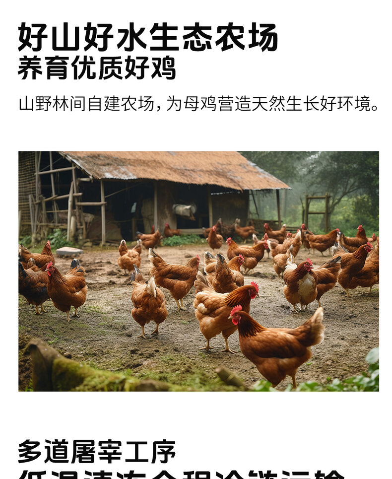 详情图片
