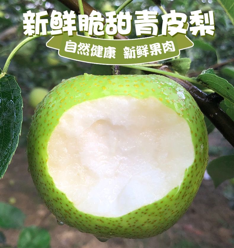 详情图片