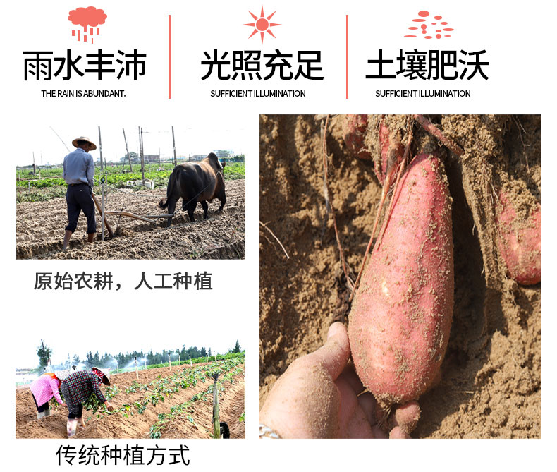 详情图片