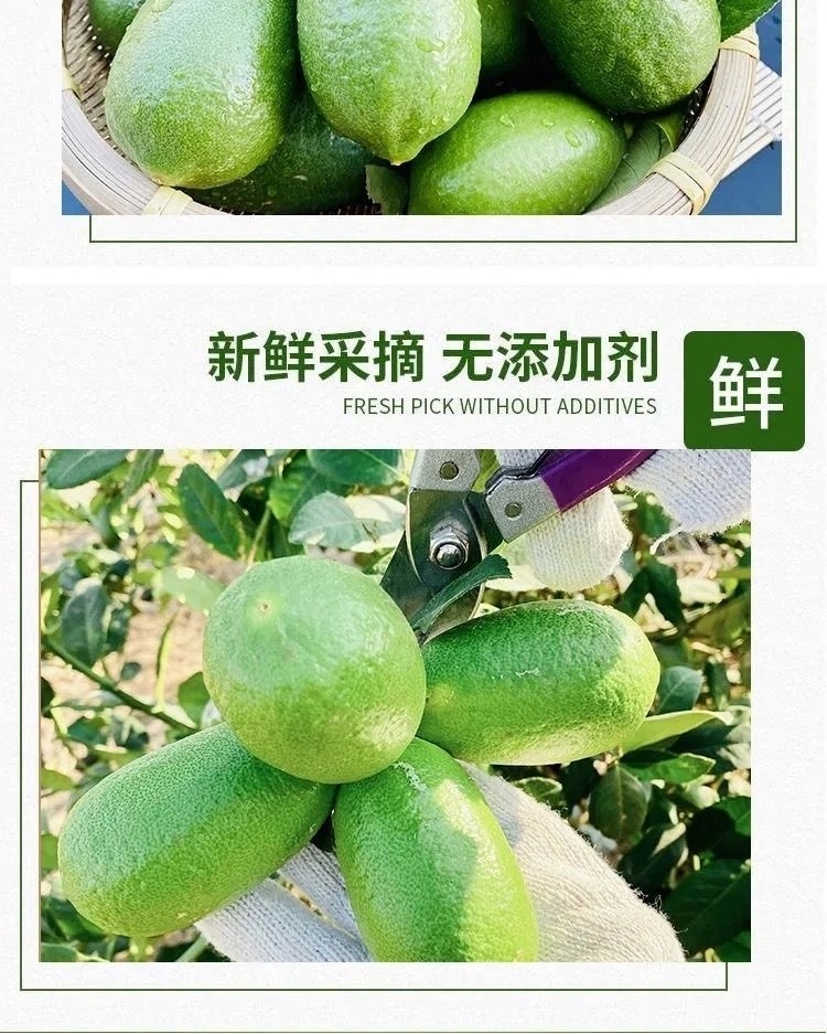 详情图片