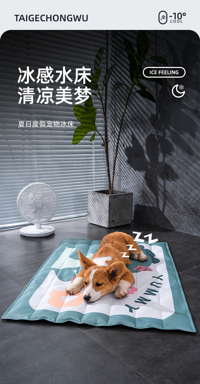 详情图片