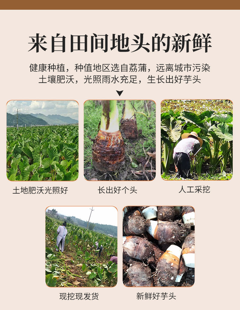 详情图片