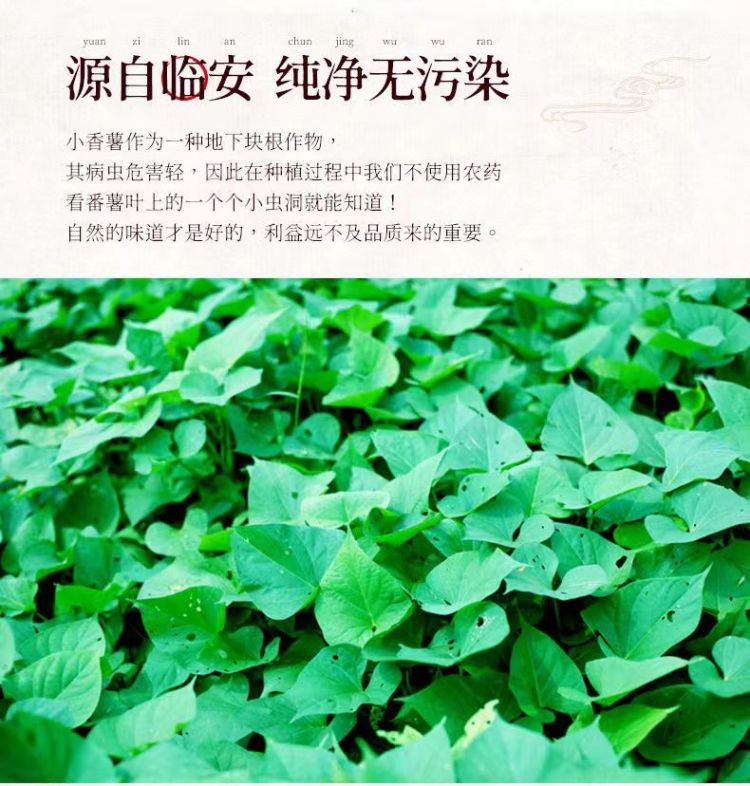 详情图片