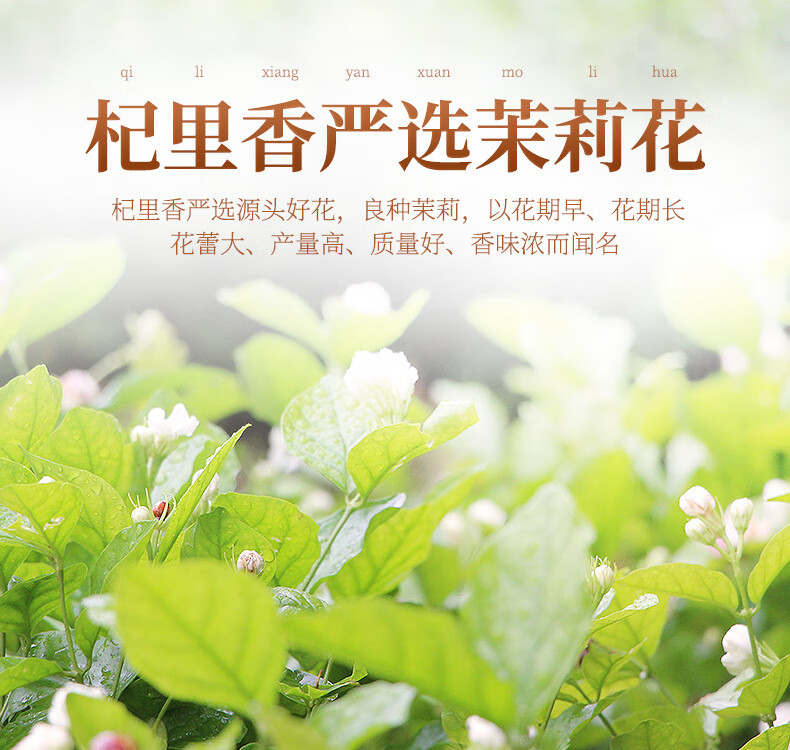 详情图片