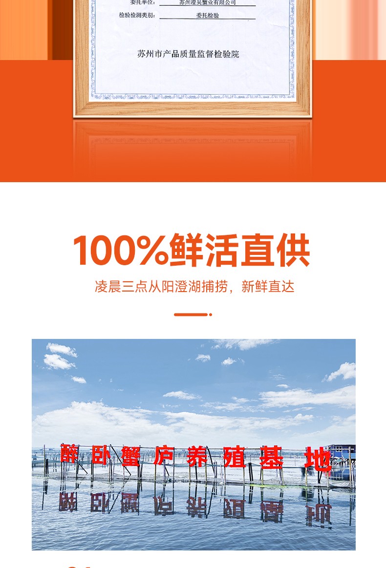 详情图片