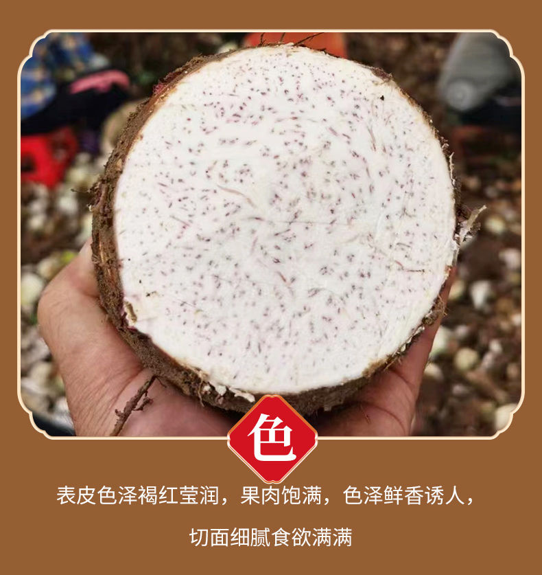 详情图片