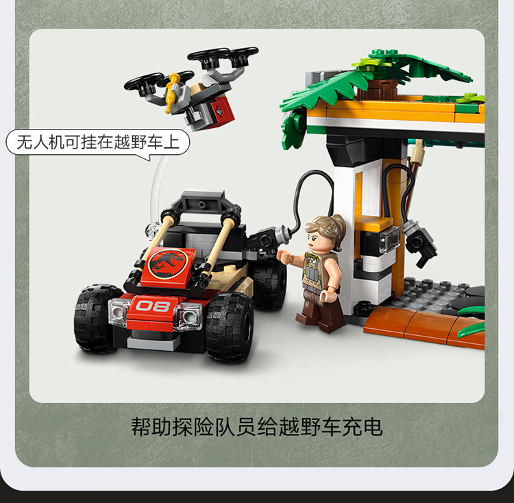 详情图片