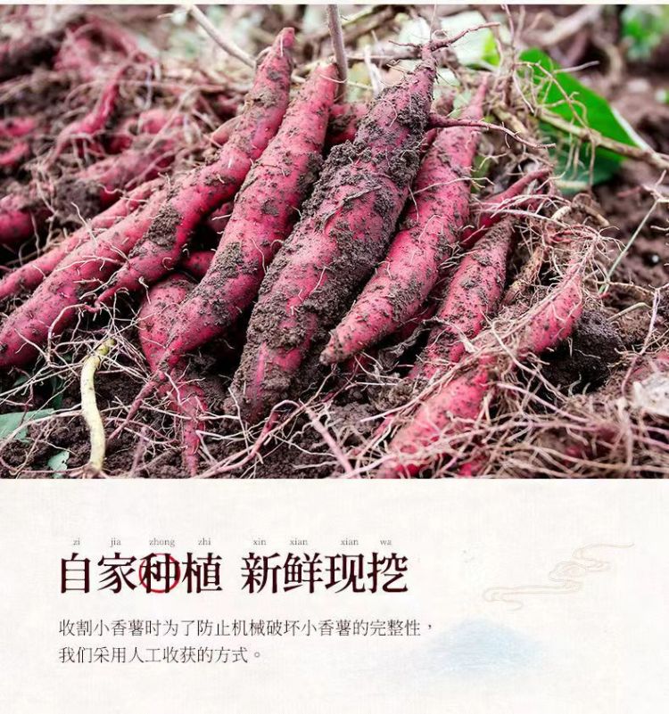 详情图片