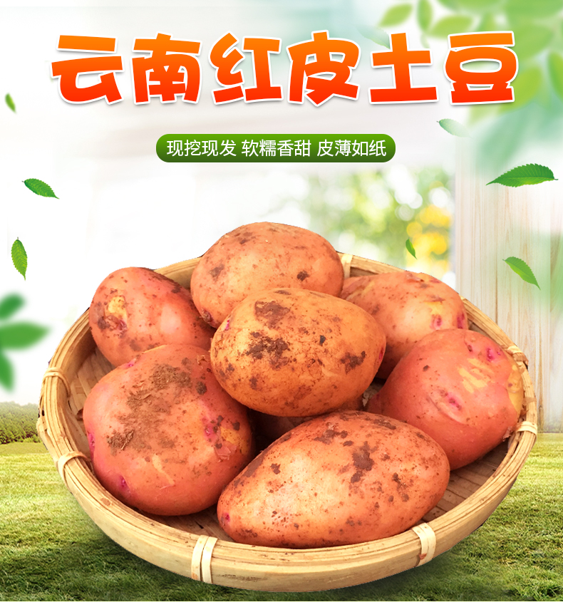 详情图片