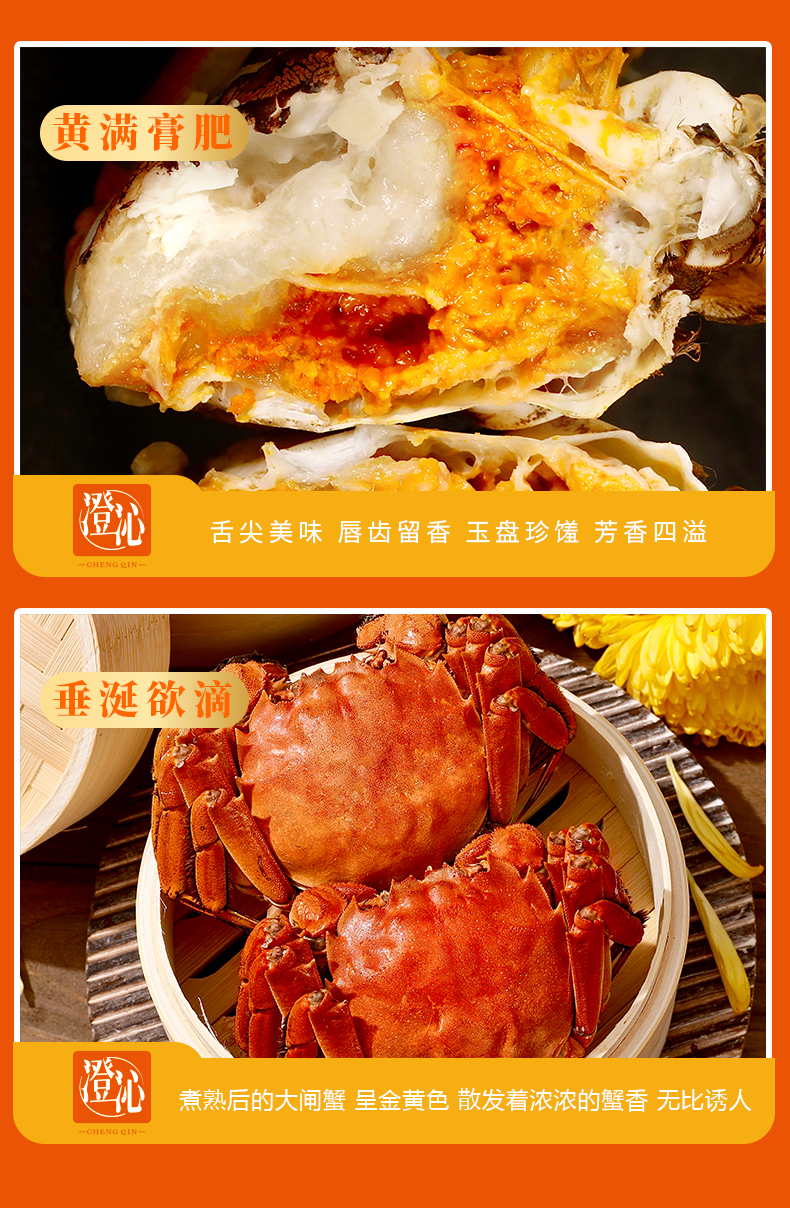 详情图片