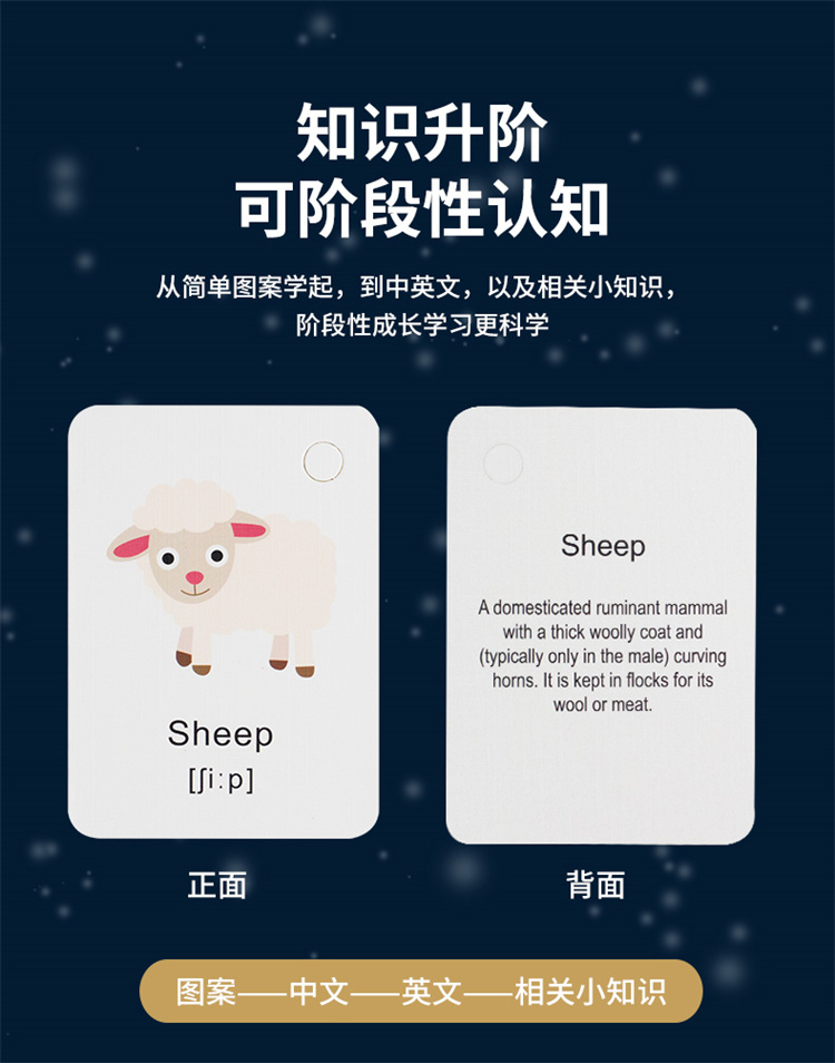 详情图片