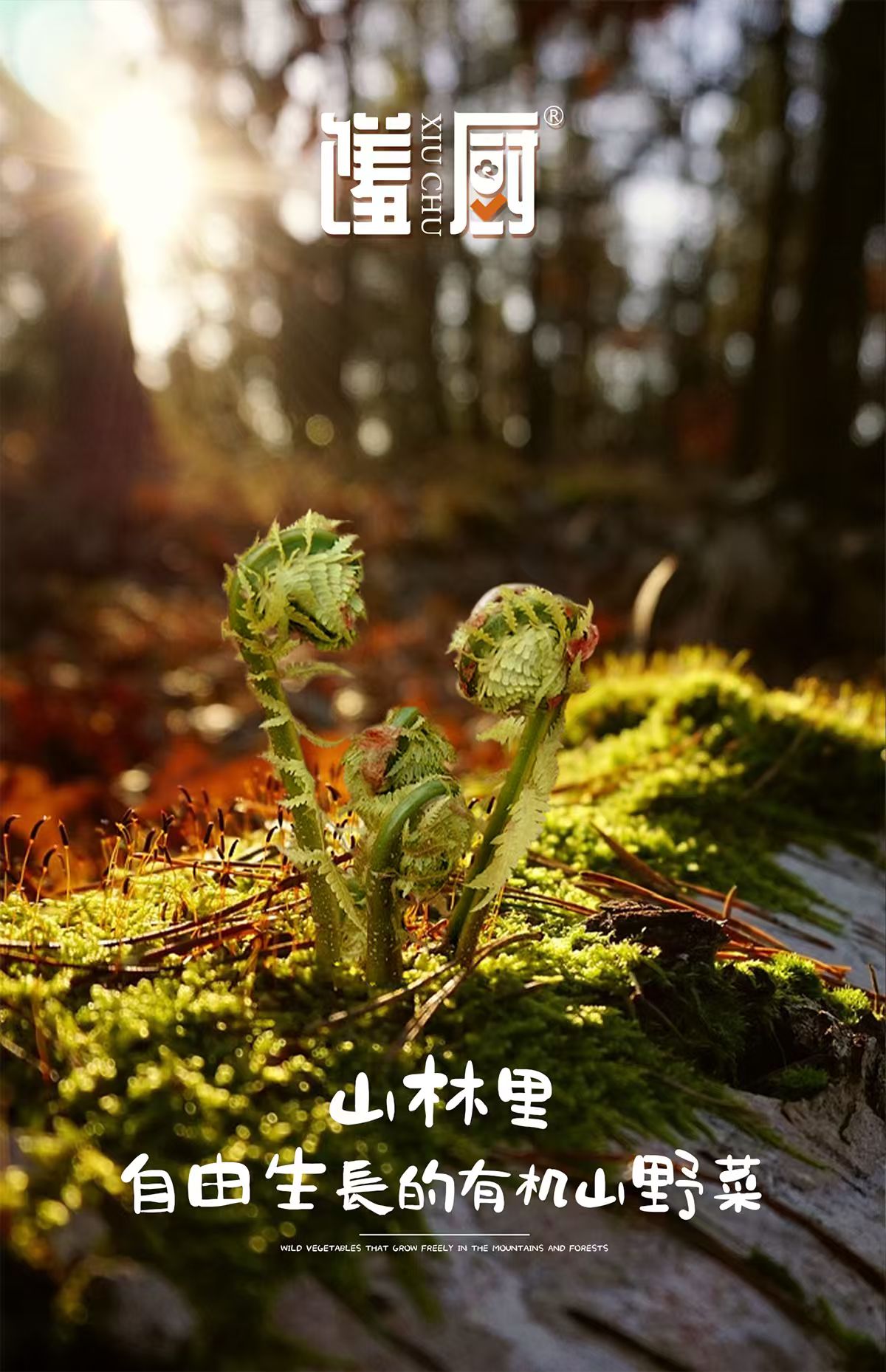 详情图片