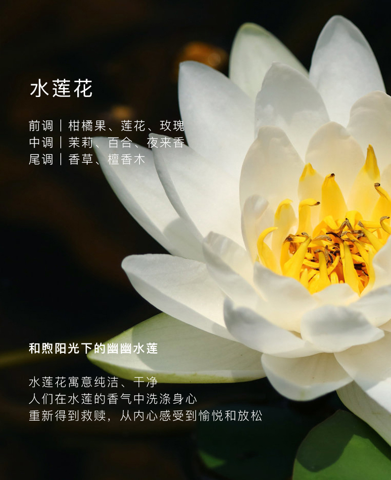 详情图片