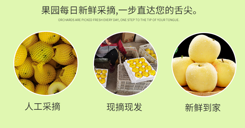 详情图片