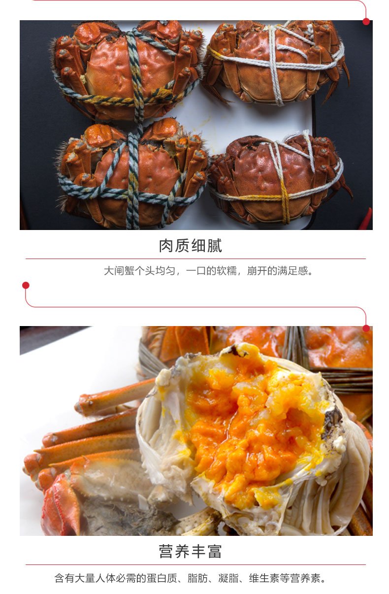 详情图片