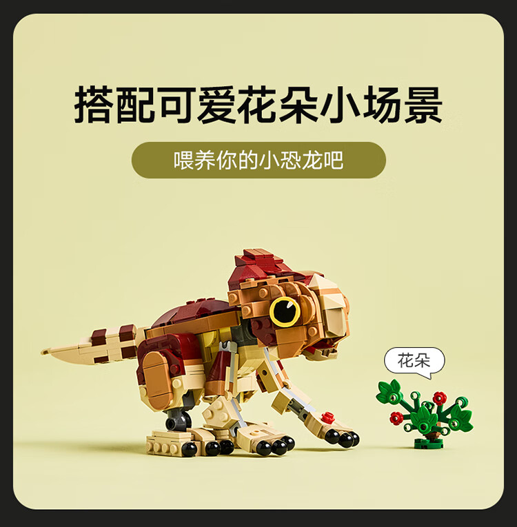 详情图片