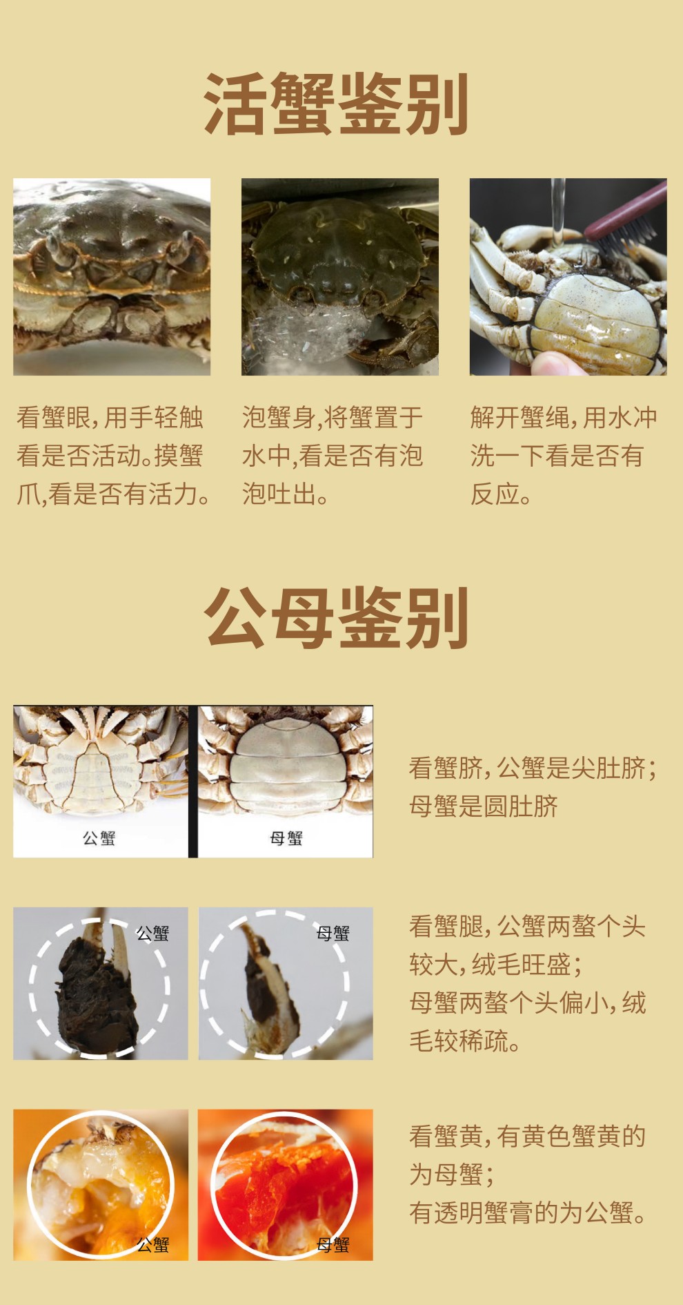 详情图片