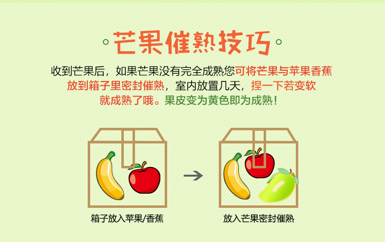详情图片