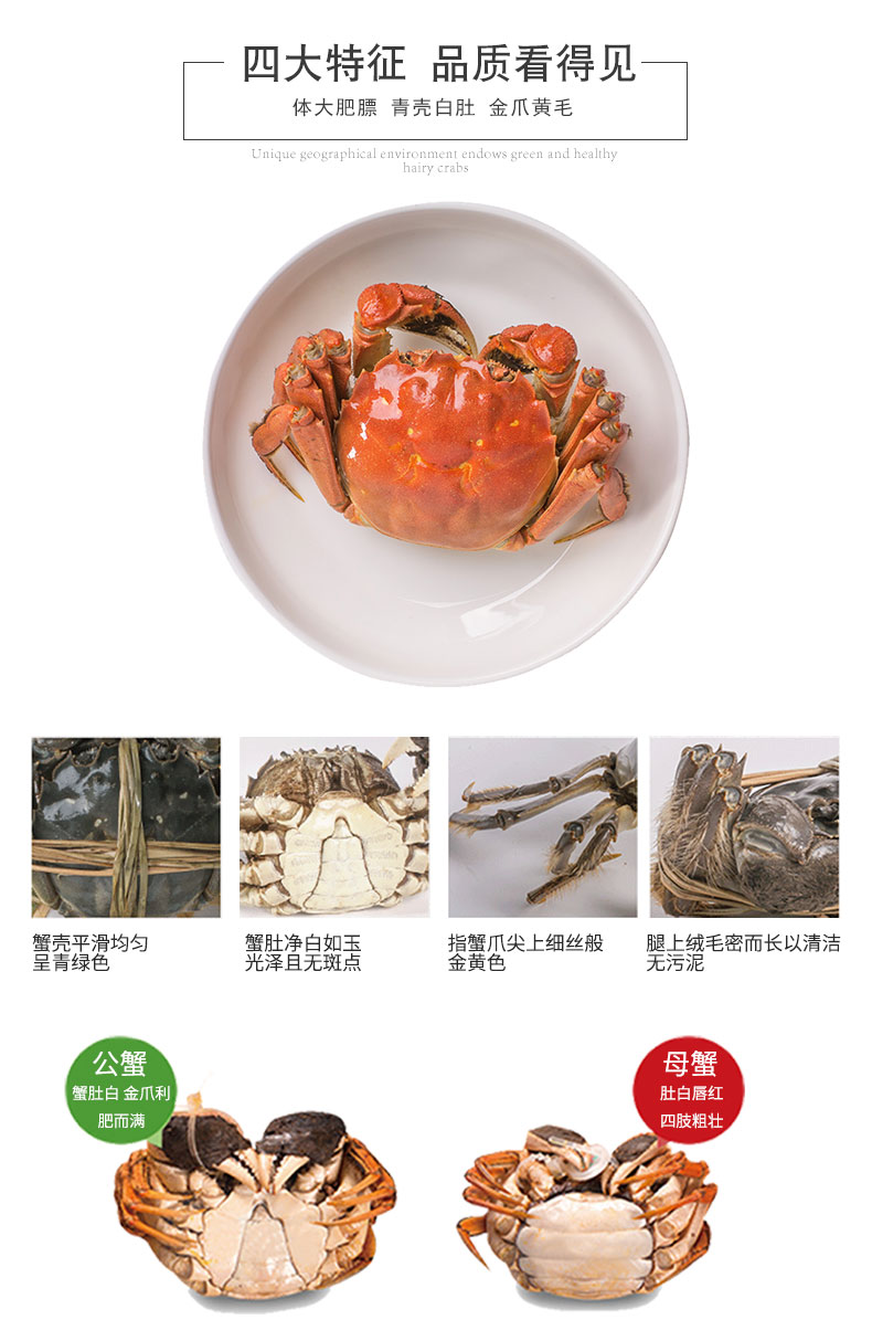 详情图片