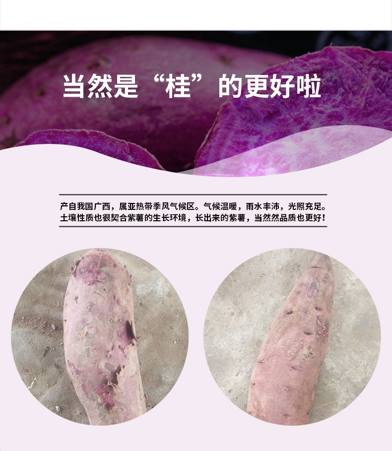 详情图片