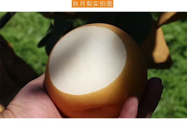 详情图片