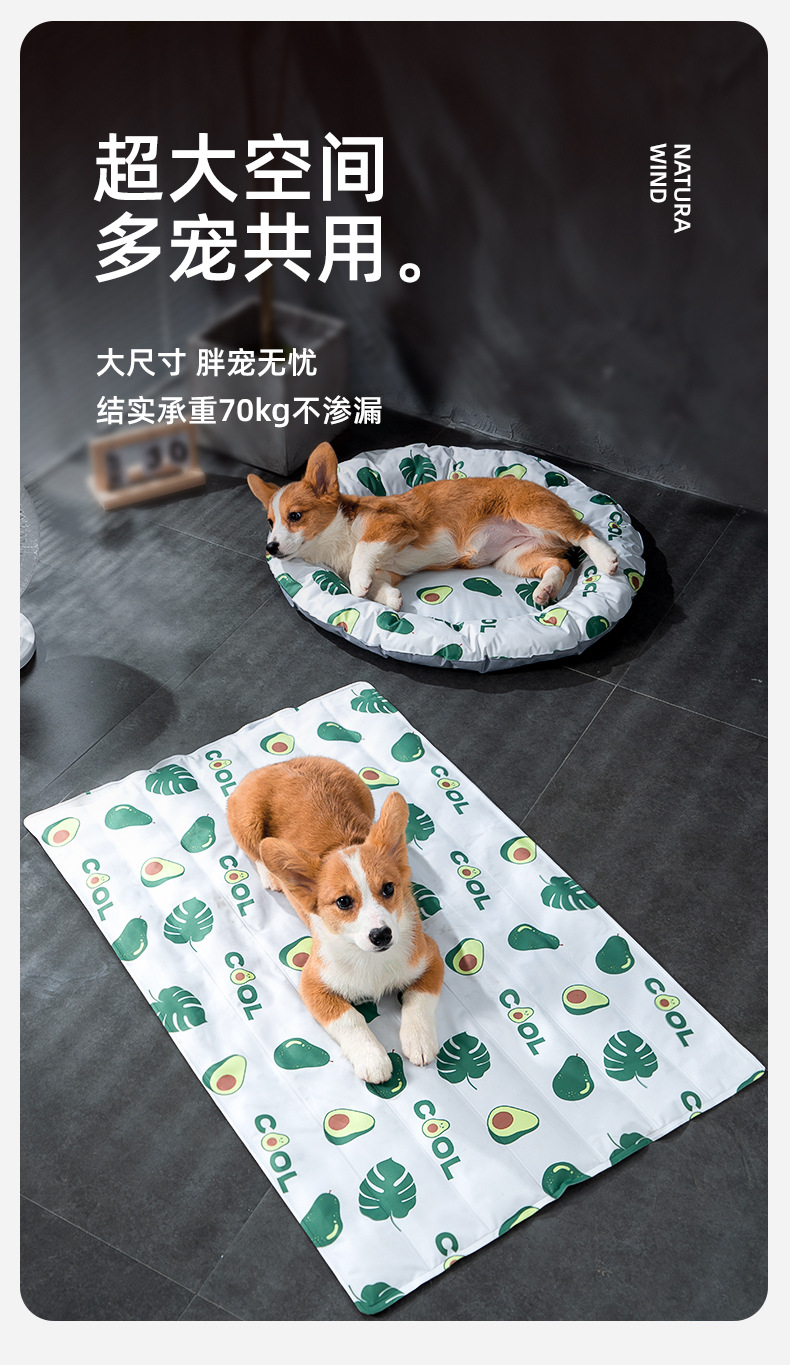 详情图片
