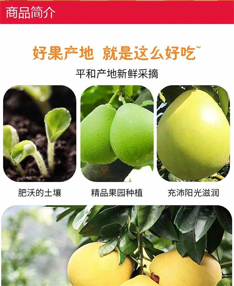 详情图片