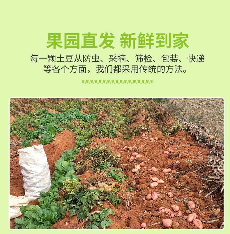 详情图片