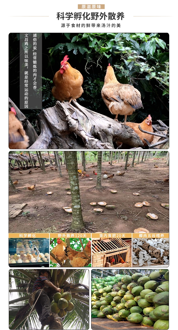 详情图片