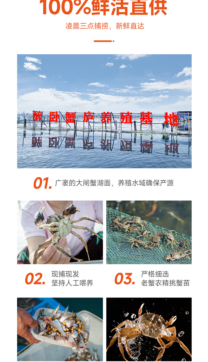 详情图片