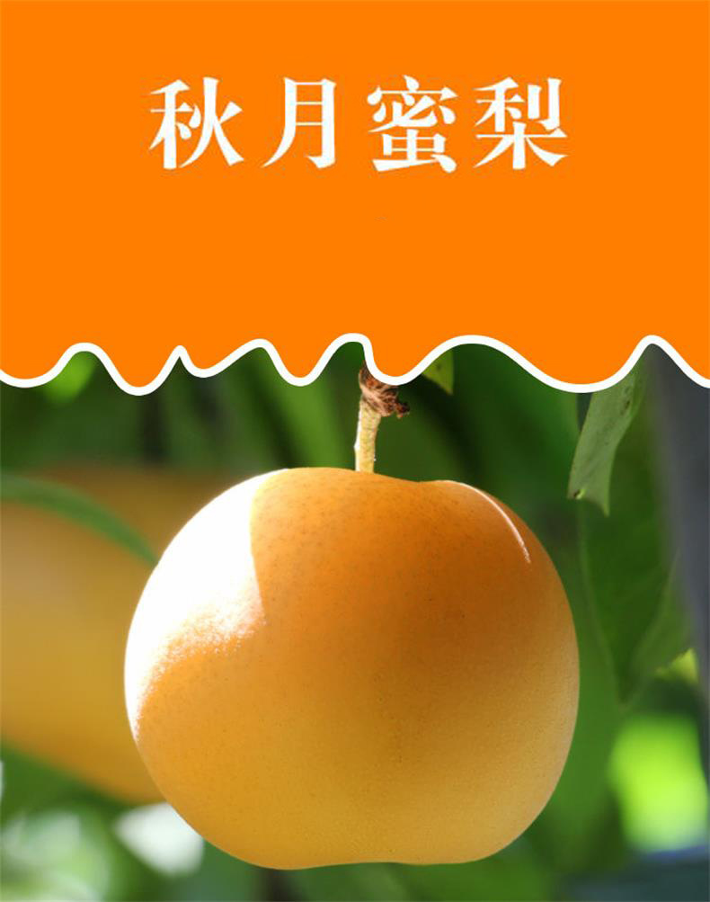 详情图片