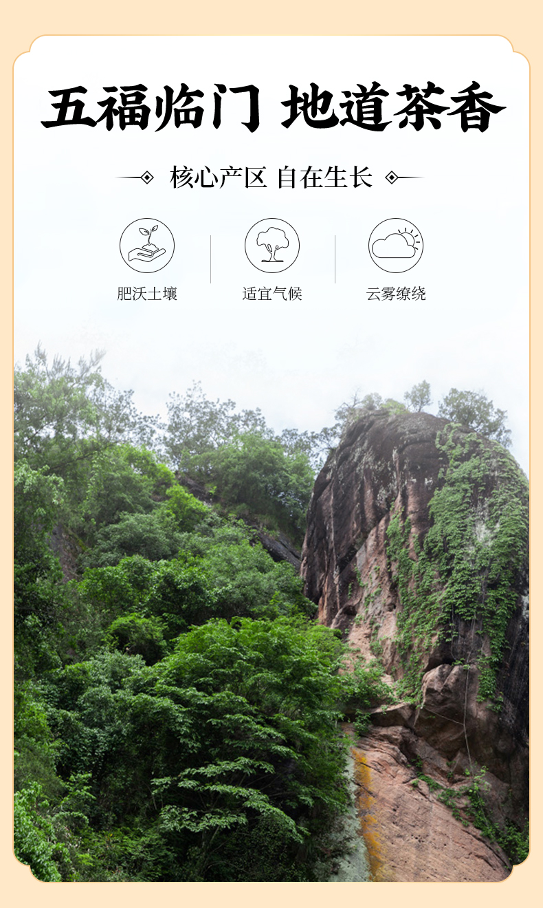 详情图片