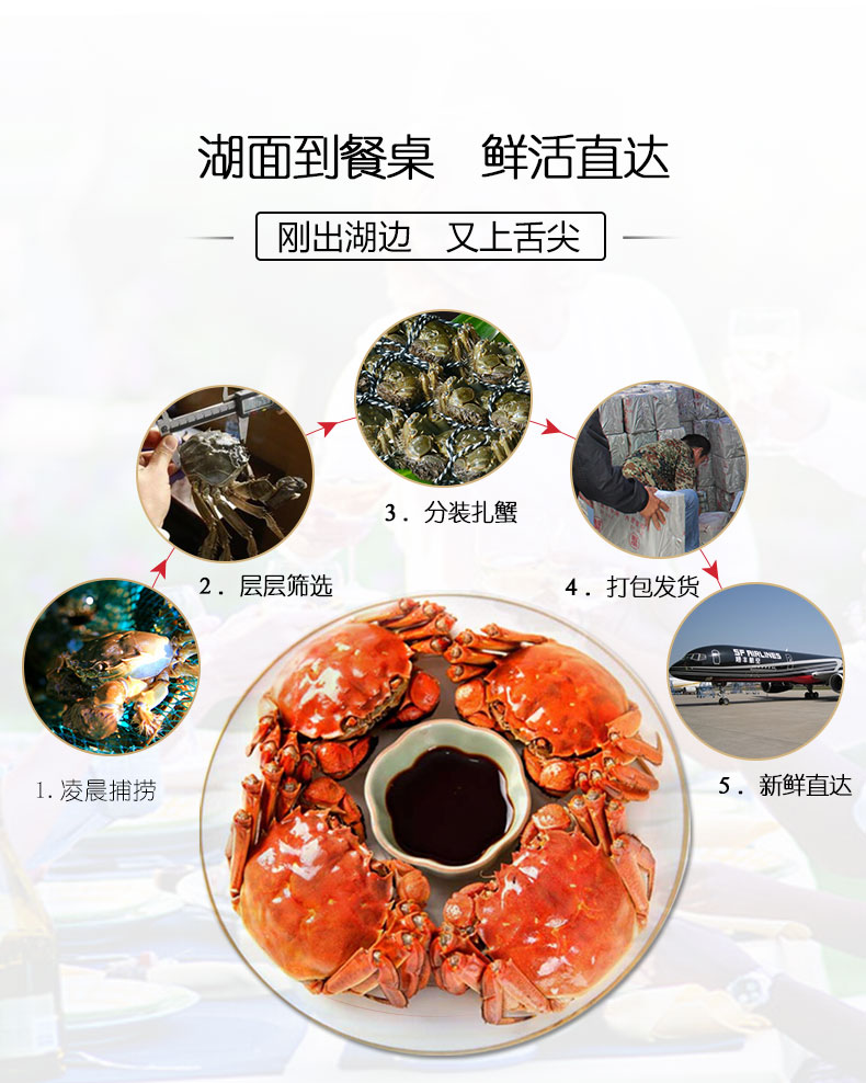 详情图片