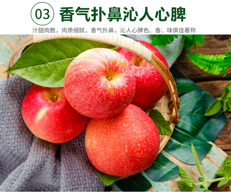 详情图片