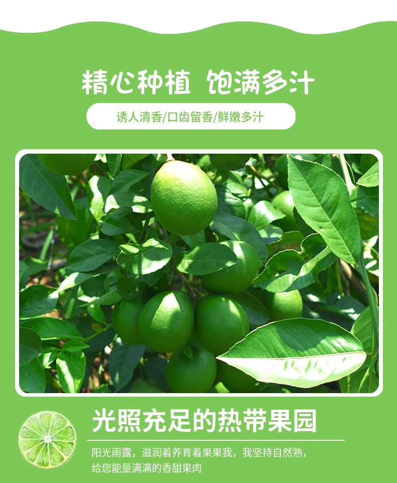 详情图片