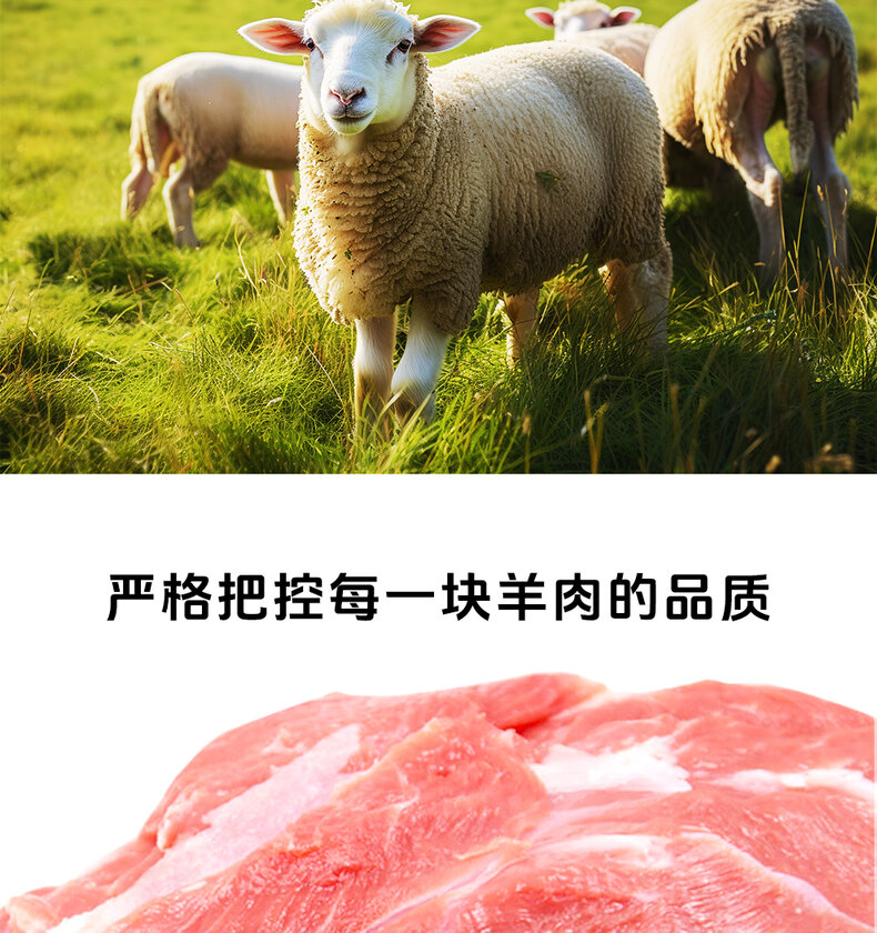 详情图片