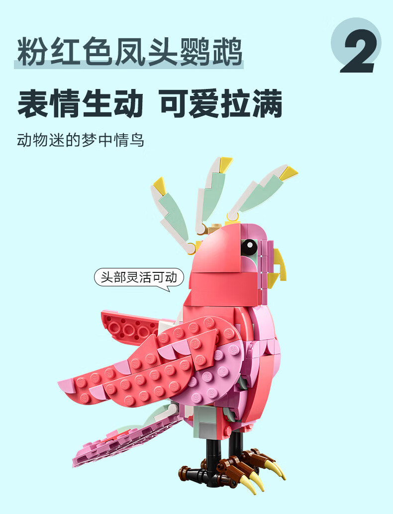 详情图片