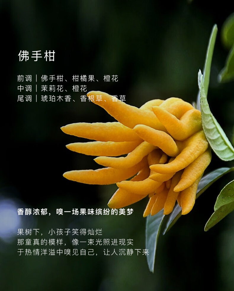 详情图片